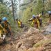 How to Protect Forest Carbon in a Fire-prone Future | World Resources Institute Wildfire and Forest Carbon