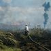 Tracking Forest Fires Trends | World Resources Institute