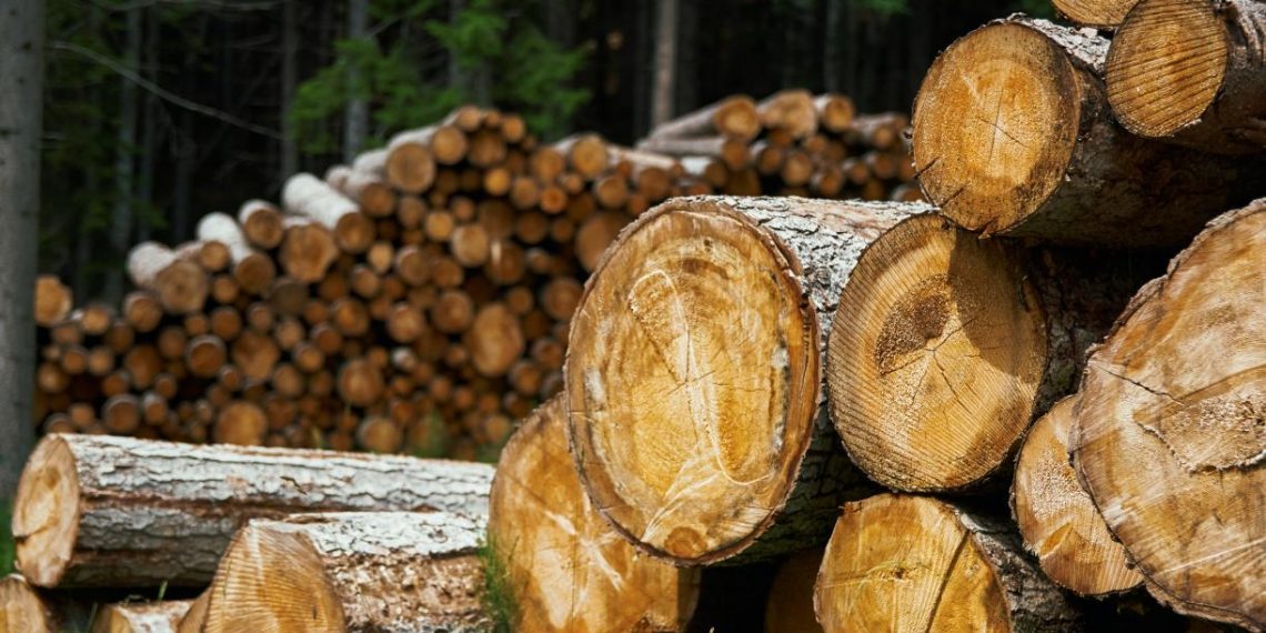 8 Ways Cities Can Access Sustainable Wood | World Resources Institute Sustainable Wood Harvesting for Urban Development