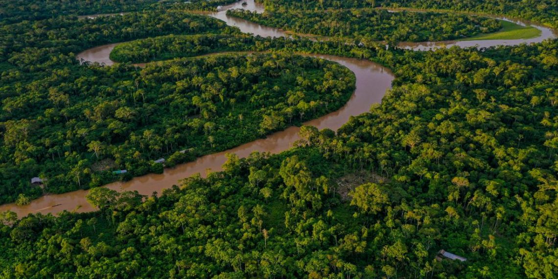 Global Forest Watch Helps Indigenous Peoples Reduce Deforestation