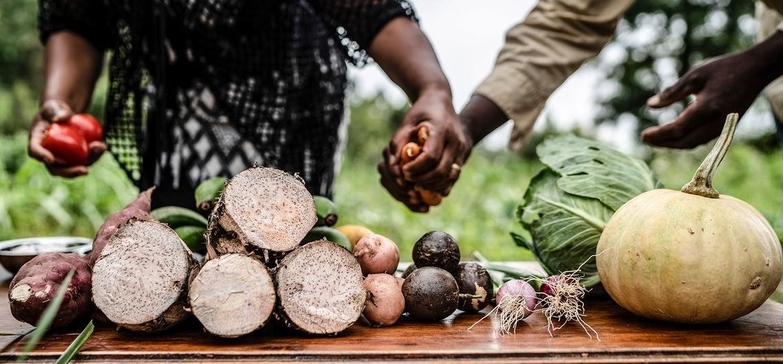 Global food crisis: Let’s move from ‘despair to hope and action’, urges UN chief