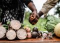 Global food crisis: Let’s move from ‘despair to hope and action’, urges UN chief