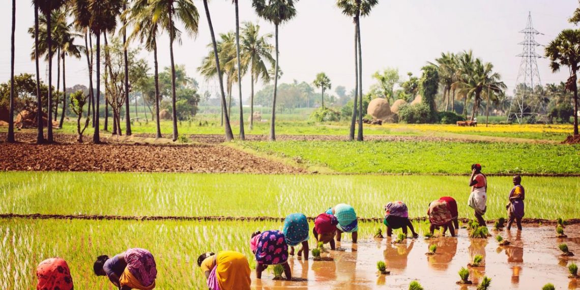 Climate Adaptation in Tamil Nadu, India