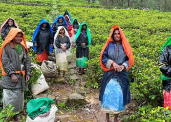 Sri Lanka: Cost-of-living crunch threatens to sink millions already facing hard choices  |