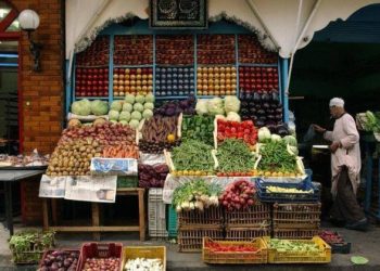 Global food imports on track to reach all-time high: FAO |