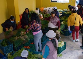 Peru’s food crisis grows amid soaring prices and poverty: FAO |