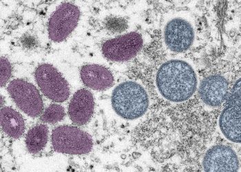 WHO recommends new name for monkeypox