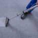 The Best Carpet Cleaning Services in Your Area