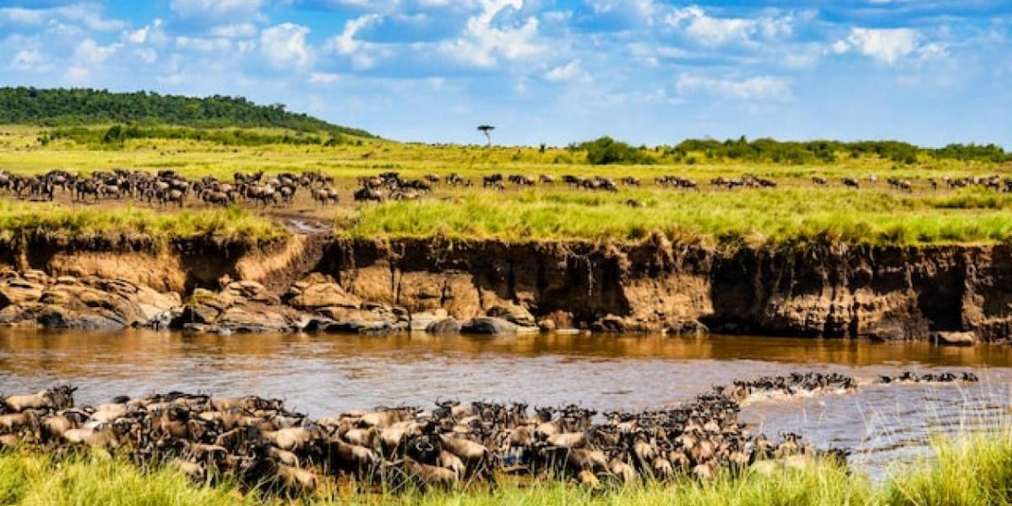 Delivering Affordable Electricity in Kenya