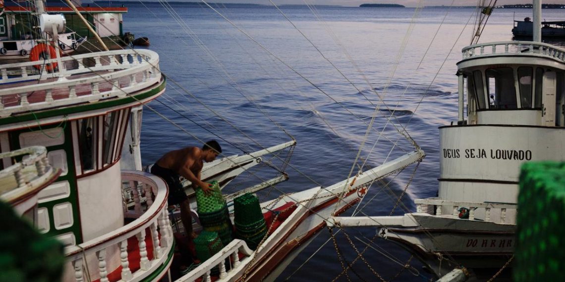 A Bioeconomy in Brazil