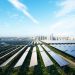 Aggregated Renewable Energy Procurement for US Cities