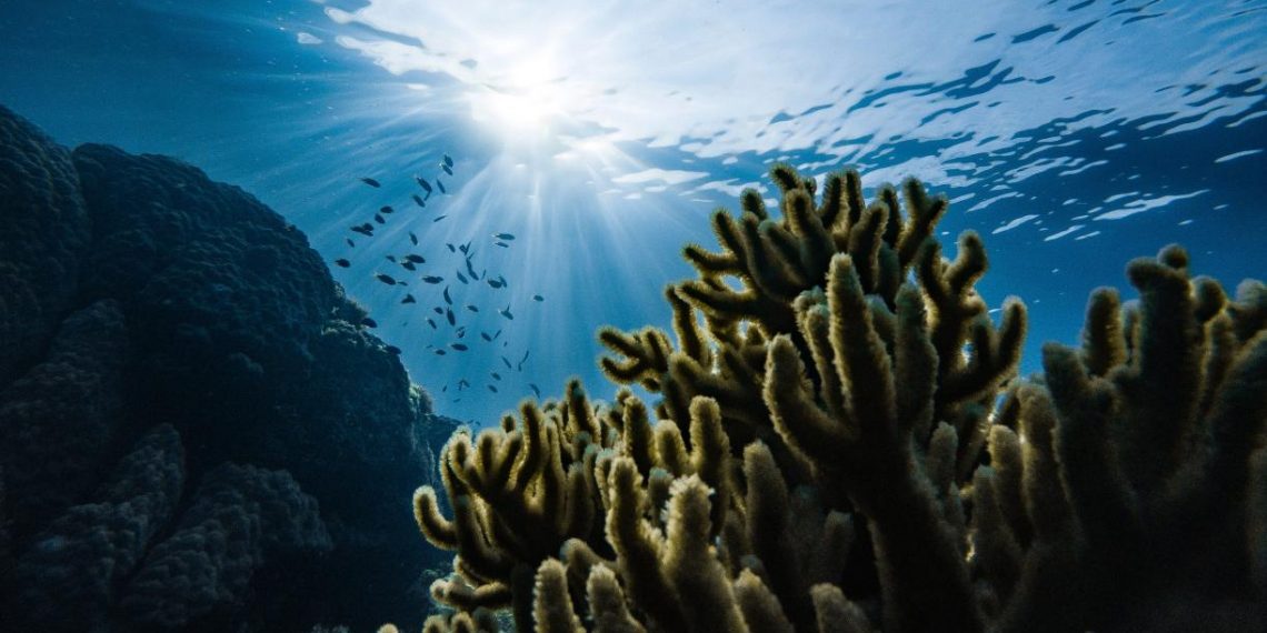 Strengthening Ocean-based Action