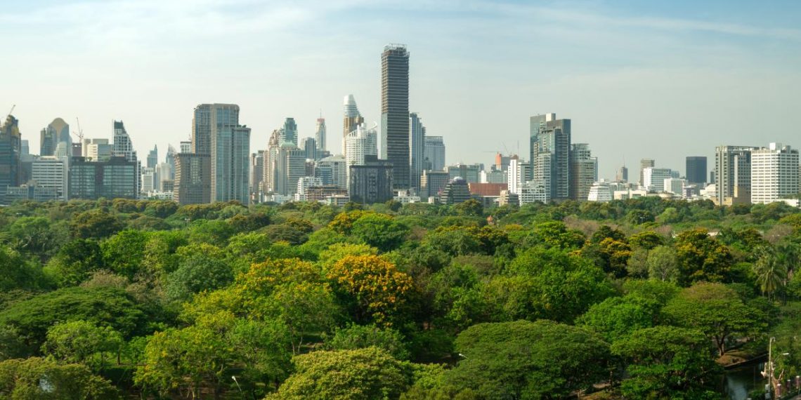 How Forests Benefit Cities’ Water, Health, Climate and Biodiversity