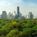 How Forests Benefit Cities’ Water, Health, Climate and Biodiversity