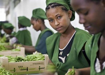 Rising inflation, falling wages threaten increased poverty and unrest: ILO