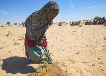 Large parts of world drier than normal in 2021: WMO