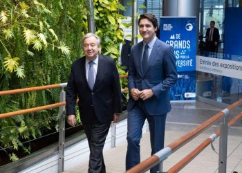 UN chief urges governments and business to step up action to protect nature