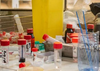 Life-threatening infections on the rise due to drug-resistant bacteria, new WHO report reveals 