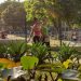 Revitalizing Urban Parks in Barranquilla