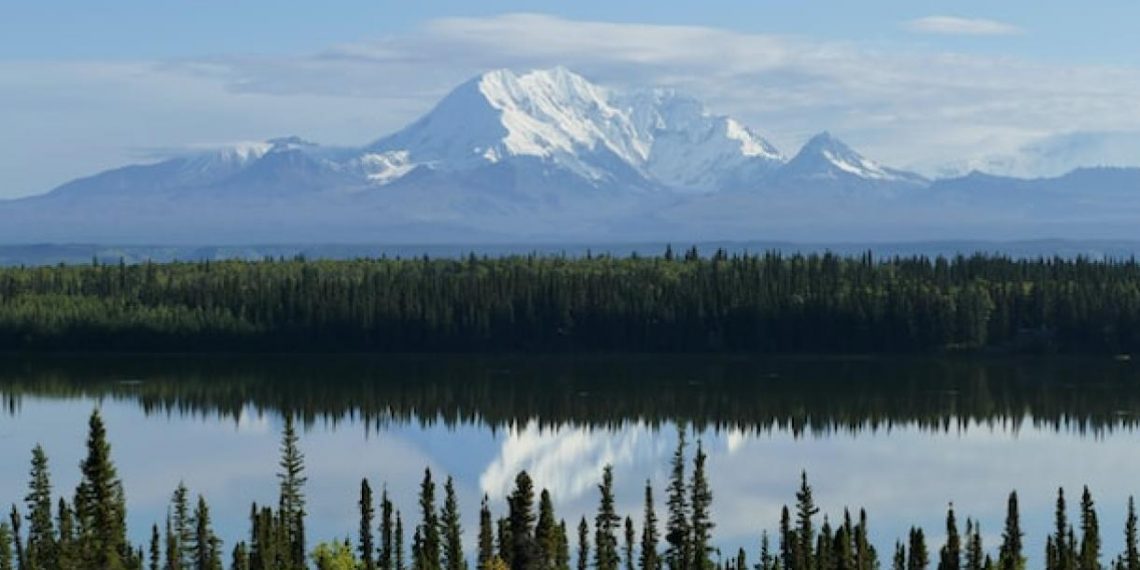 Carbon Removal in BIL and IRA