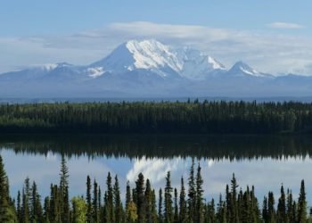 Carbon Removal in BIL and IRA