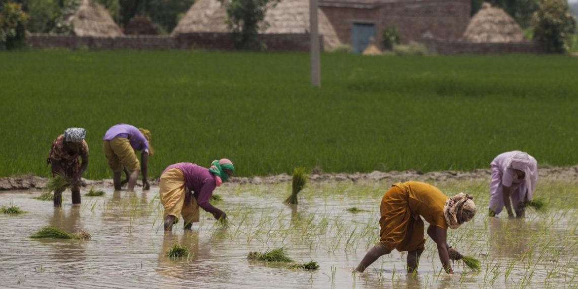 4 Climate Adaptation Priorities | World Resources Institute