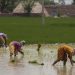 4 Climate Adaptation Priorities | World Resources Institute