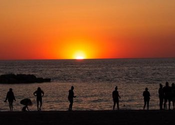 2022 confirmed as one of warmest years on record: WMO