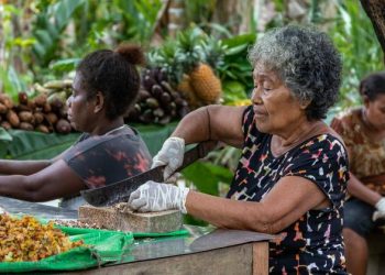 Small island States to accelerate action on preventable diseases, mental health
