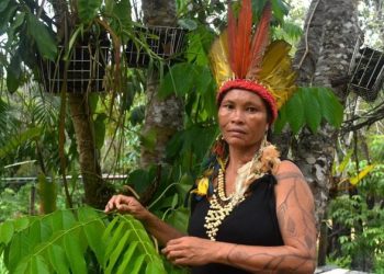 ‘We are not afraid’: Indigenous Brazilian women stand up to gender violence