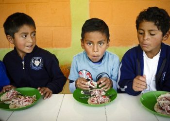 Latin America, Caribbean ‘must step up’ to tackle rising hunger: FAO