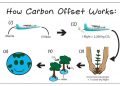 How To Verify Carbon Credits