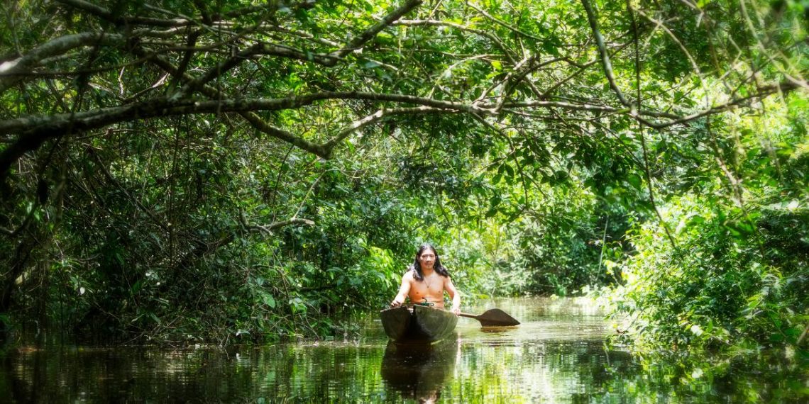 Carbon Fluxes in the Amazon’s Indigenous Forests