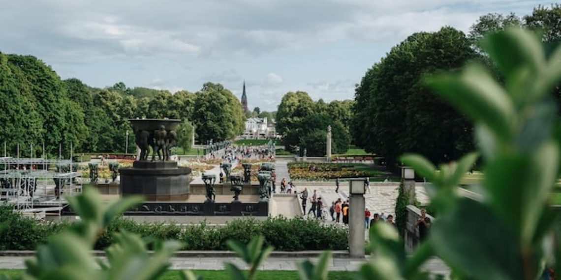 Monitoring Cities’ Impact on Forests