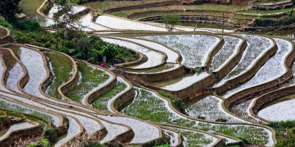 Potential for US-China Collaboration on Methane