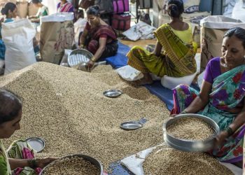 Downward slide in global food prices continues: FAO