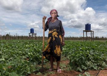 Transforming how we eat, ‘a critical accelerator’ towards 2030 development goals: Deputy UN chief