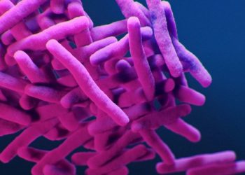 Reduce pollution to combat ‘superbugs’ and other anti-microbial resistance