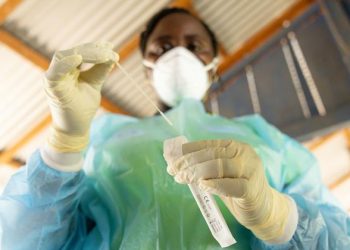 UN General Assembly hears call for worldwide pandemic warning system