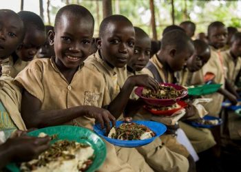 Education: More investment in school health, nutrition, will realize childhood potential