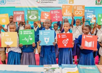 SDG stimulus could unlock $148 billion in debt savings: UNDP