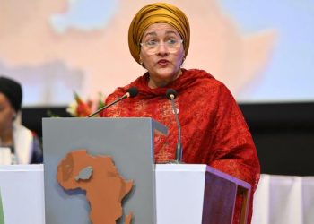 Solidarity, leadership and commitment needed to reach 2030 development goals: Mohammed