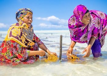 5 things you need to know about the world’s least developed countries