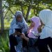 LDC5: Proposed online university sparks hope of bridging education gap in least developed countries