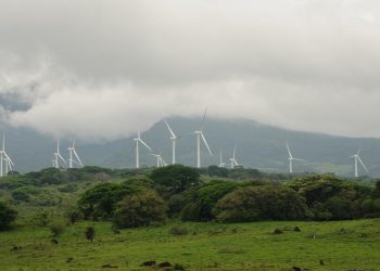 The What, When, and How of Net-Zero Emissions