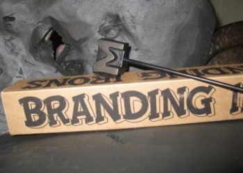 How to Build a Green Brand in 2023