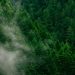 6 Ways to Remove Carbon Pollution from the Atmosphere
