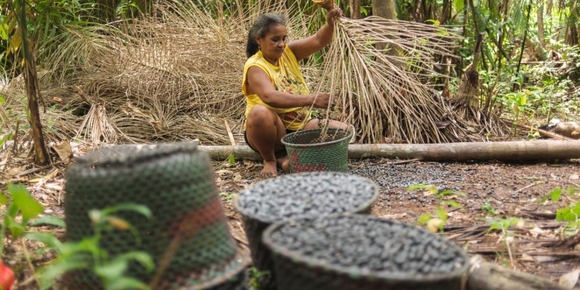 Deforestation Creates Extreme Heat in the Tropics