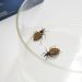 World Chagas Day calls for primary health care to track ‘silent’ disease