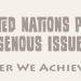 Press Release: Global Protection of Indigenous Peoples’ Rights: United Nations Issues Call for Human, Health, and Environmental Safeguards at Annual Forum